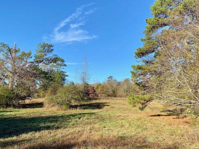 Listing photo 2 for XXX Ragweed Valley Rd, Royal AR 71968