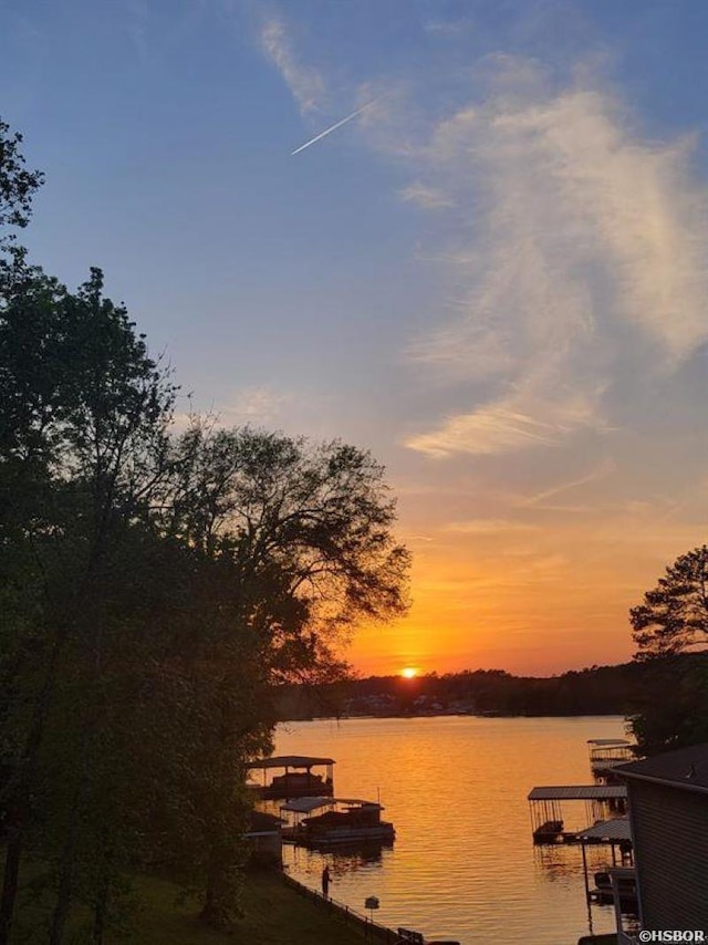 water view featuring a dock