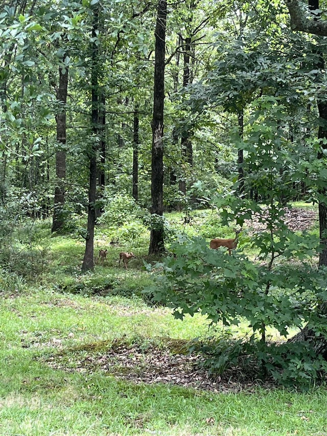 view of landscape with a forest view