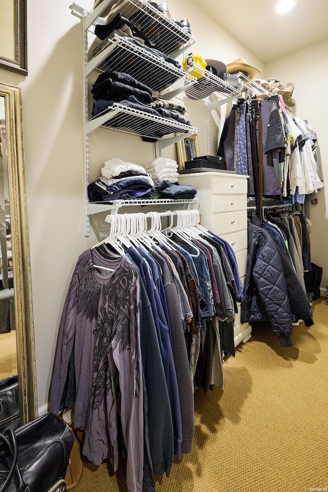 spacious closet featuring carpet flooring