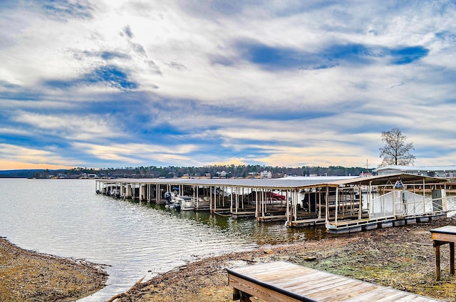 dock area with a water view