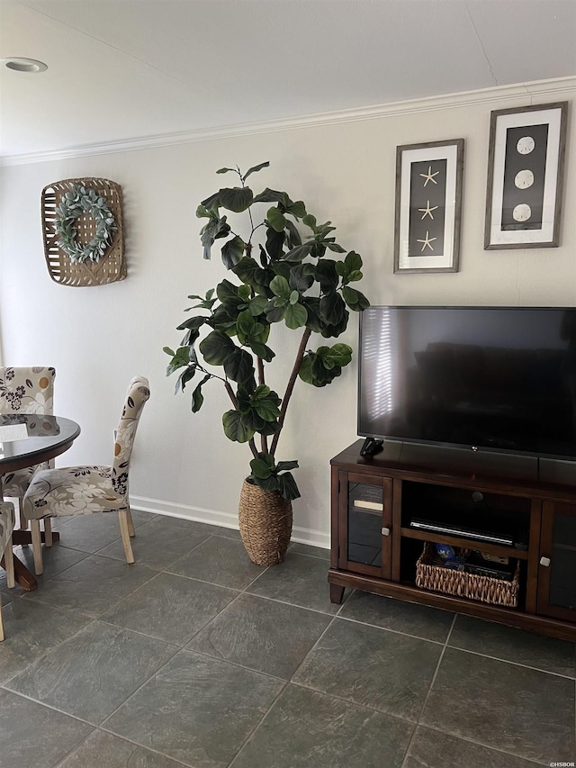 interior space with baseboards and ornamental molding