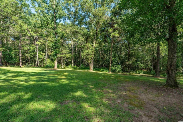 172 Songer Ln, Pearcy, AR 71964 - photo 42