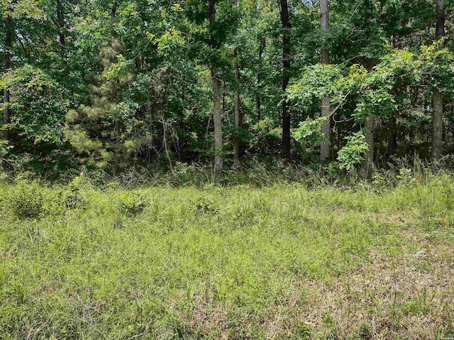 LOT6 Monovar Cir, Hot Springs Village AR, 71909 land for sale