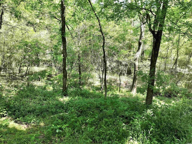 view of local wilderness featuring a view of trees