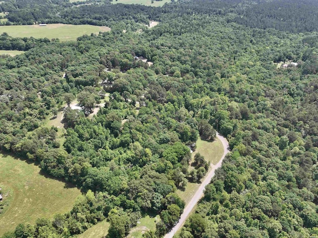 bird's eye view with a view of trees