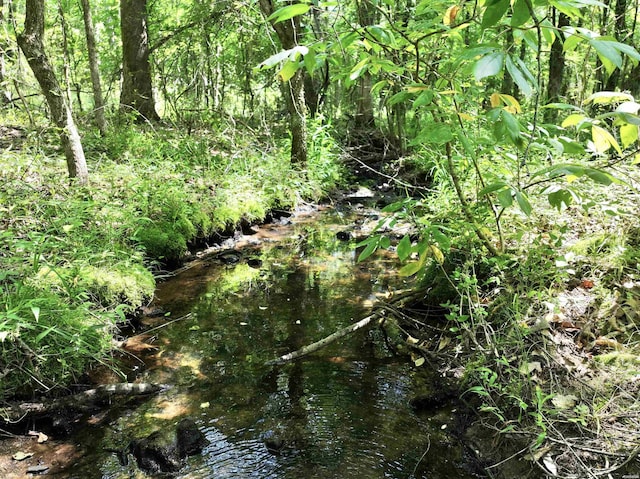 view of local wilderness with a water view