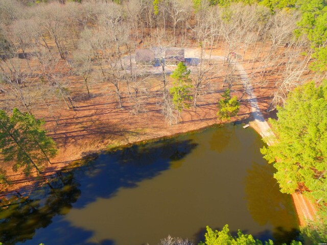 374 Cedar Glades Rd, Hot Springs, AR 71913 - photo 29