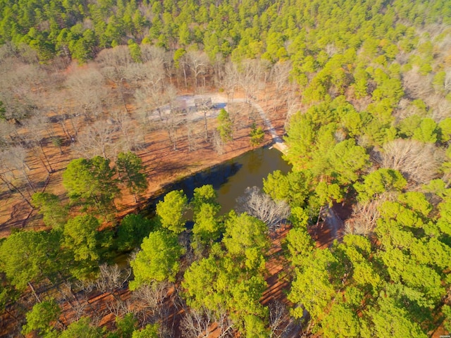 374 Cedar Glades Rd, Hot Springs, AR 71913 - photo 30