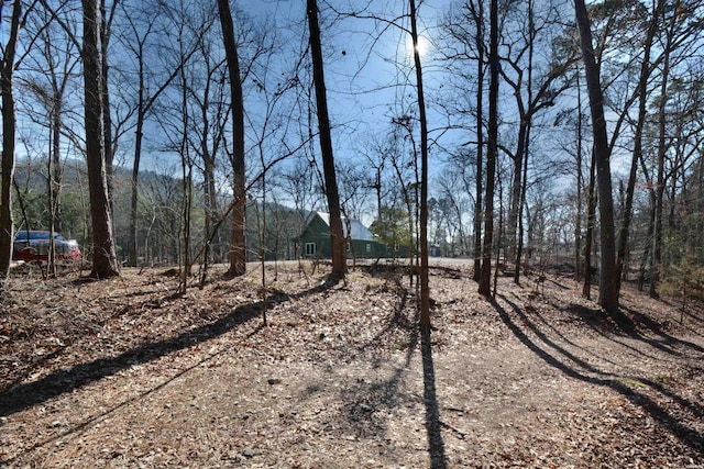 374 Cedar Glades Rd, Hot Springs, AR 71913 - photo 8