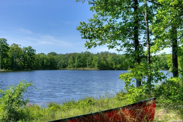 117 Dellmere Cv Lot 16Blk 6, Hot Springs, AR 71913 - photo 5