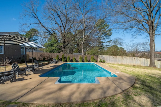 view of pool featuring a patio, a yard, a fenced backyard, and a fenced in pool