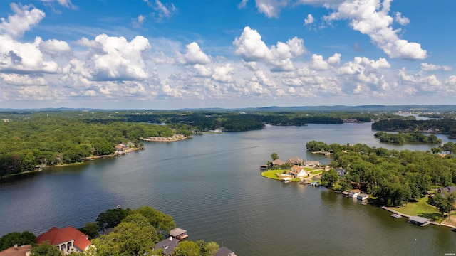 56 Stonegate Shores Dr, Hot Springs, AR 71913 - photo 8