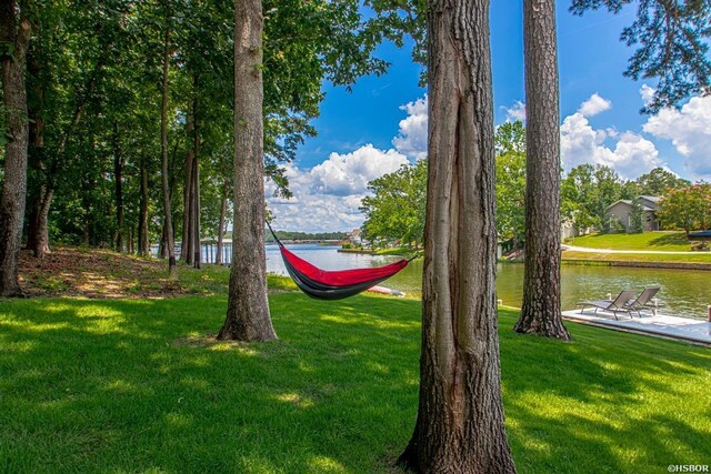 56 Stonegate Shores Dr, Hot Springs, AR 71913 - photo 50