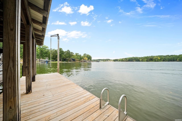 dock area with a water view