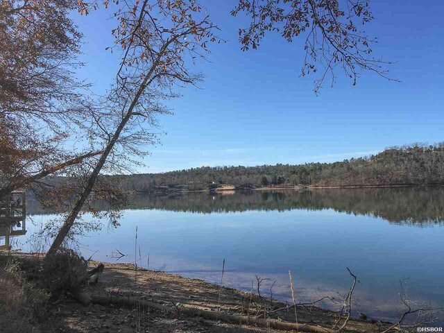 LOT10 Gibbins Trl, Hot Springs, AR 71913 - photo 7