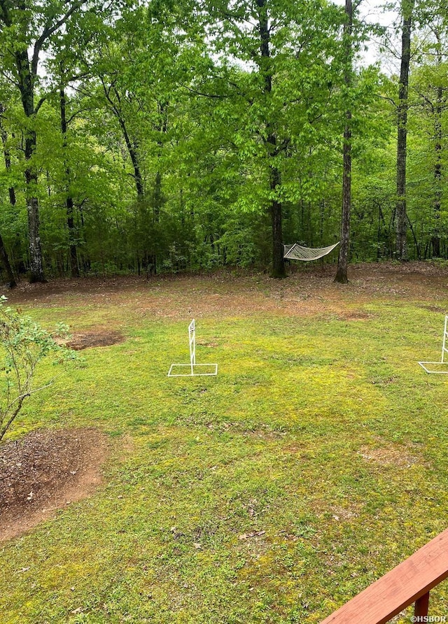 46 Hickory Hill Ln, Mount Ida, AR 71957 - view of yard