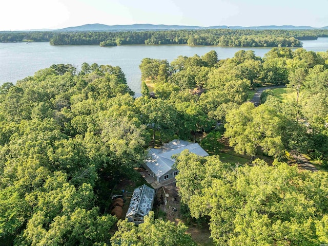 512 Beachview Cir, Hot Springs, AR 71913 - aerial overview of property's location with a heavily wooded area and a nearby body of water
