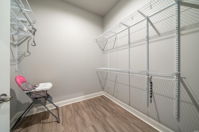 walk in closet with wood finished floors