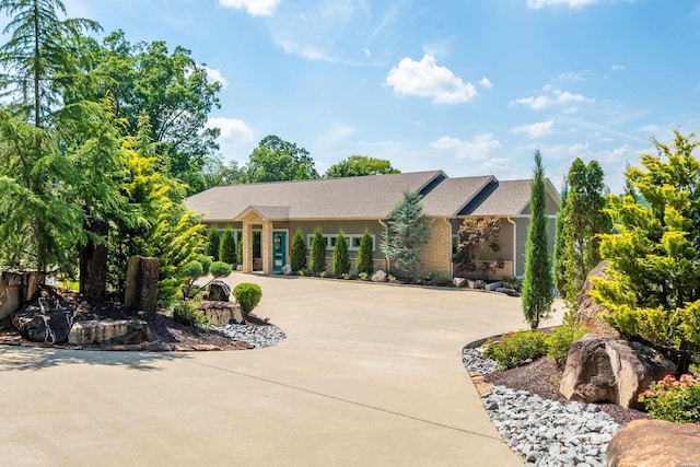 view of front of property featuring curved driveway