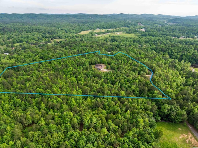 drone / aerial view with a mountain view and a view of trees