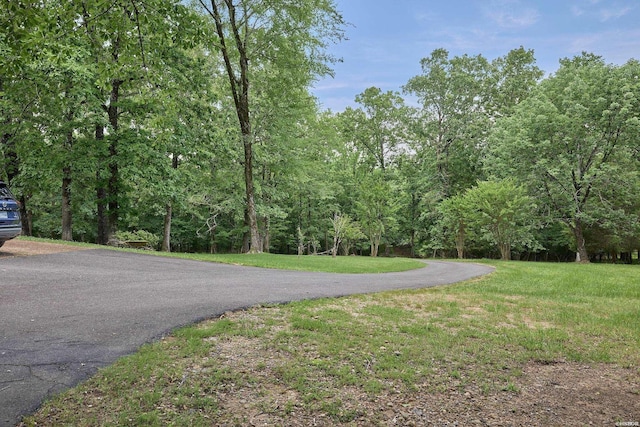 132 Victoria Ln, Hot Springs, AR 71901 - photo 47
