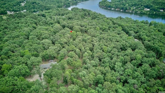 132 Victoria Ln, Hot Springs, AR 71901 - photo 48