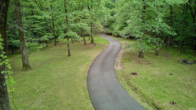 132 Victoria Ln, Hot Springs, AR 71901 - photo 46