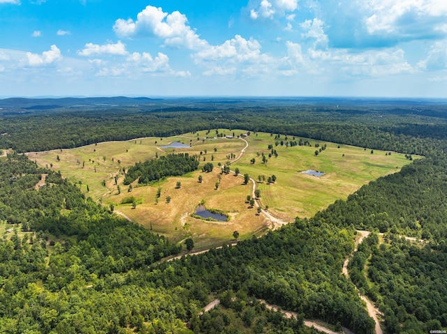 drone / aerial view with a forest view