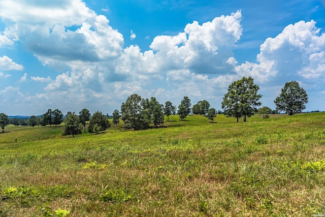 view of nature featuring a rural view