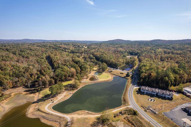 LOT2 Enchanted Cv, Hot Springs, AR 71913 - photo 19