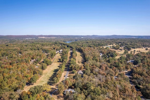 LOT2 Enchanted Cv, Hot Springs, AR 71913 - photo 21