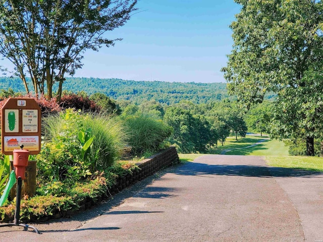 LOT2 Enchanted Cv, Hot Springs, AR 71913 - photo 15