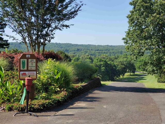 LOT2 Enchanted Cv, Hot Springs, AR 71913 - photo 14