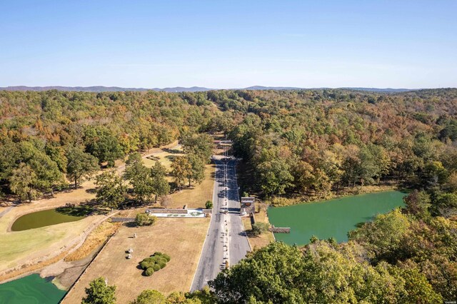 LOT2 Enchanted Cv, Hot Springs, AR 71913 - photo 20
