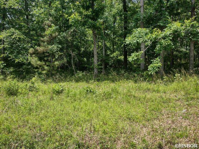 LOT1612 Independence Dr, Hot Springs AR, 71913 land for sale