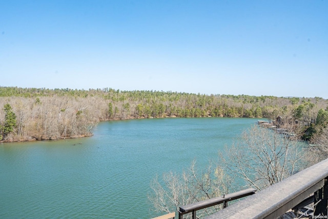 116 Lake Forest Shores Dr, Hot Springs, AR 71913 - water view with a view of trees