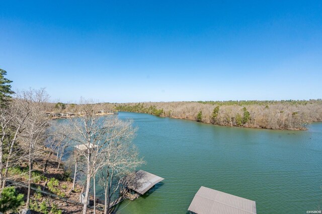 116 Lake Forest Shores Dr, Hot Springs, AR 71913 - photo 50