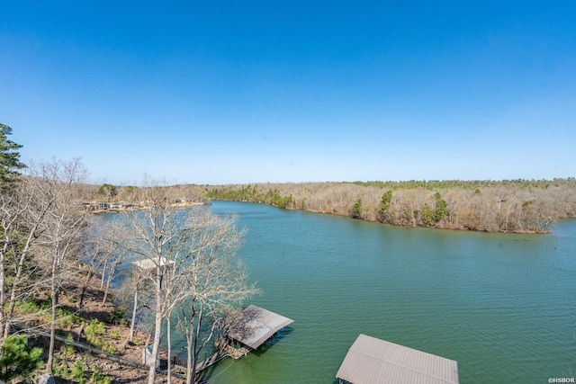 116 Lake Forest Shores Dr, Hot Springs, AR 71913 - property view of water with a dock