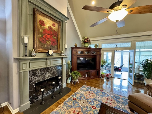 living area with plenty of natural light, a fireplace, dark wood finished floors, and baseboards