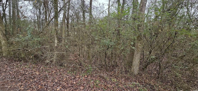 E Mahan Rd, Pearcy, AR 71964