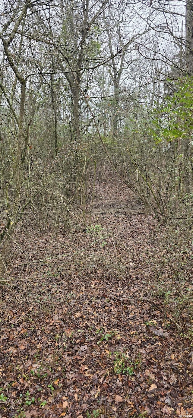E Mahan Rd, Pearcy, AR 71964