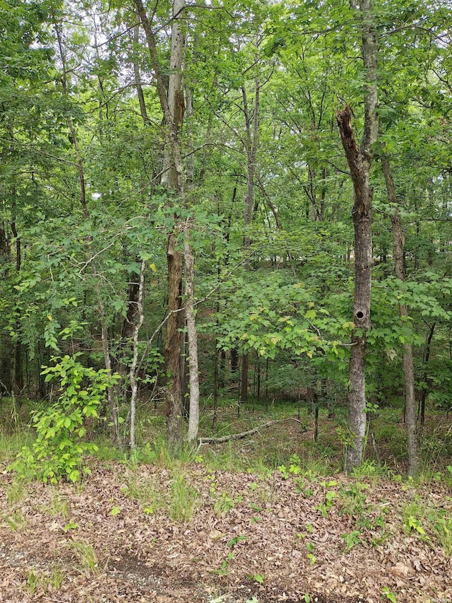 789 Plum Holw, Hot Springs, AR 71913