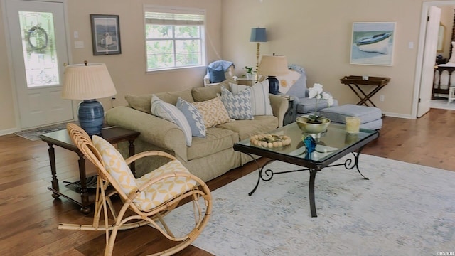 338 Sunset Bay Rd, Hot Springs, AR 71913 - living area featuring wood finished floors