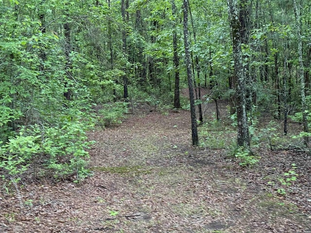 391 Angel Rd, Amity, AR 71921