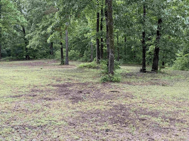 391 Angel Rd, Amity, AR 71921