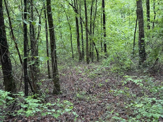 391 Angel Rd, Amity, AR 71921
