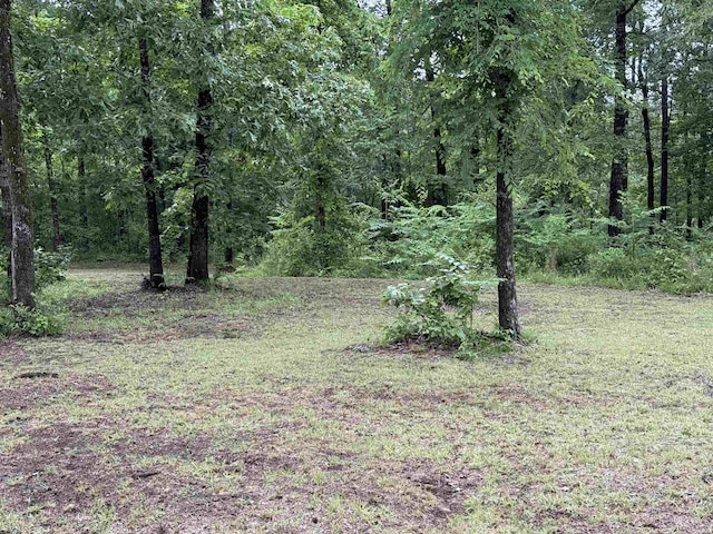 391 Angel Rd, Amity, AR 71921