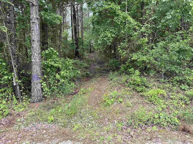 391 Angel Rd, Amity, AR 71921