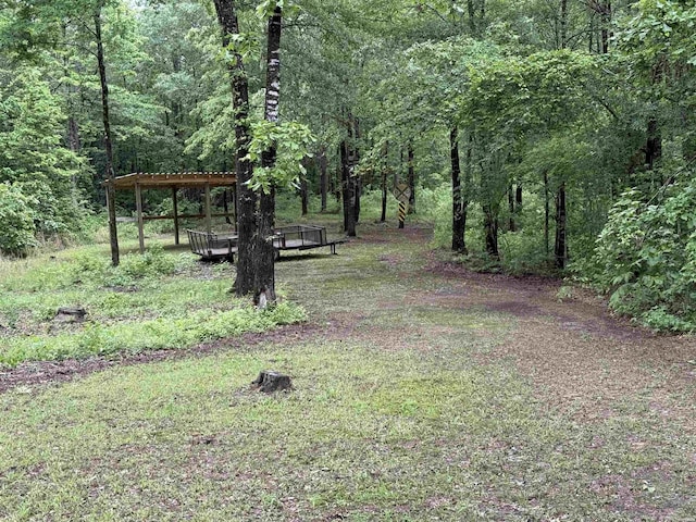 391 Angel Rd, Amity, AR 71921